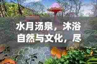 水月汤泉,沐浴自然与文化,尽享独特体验