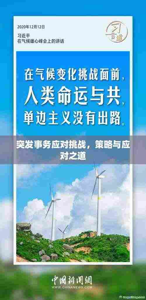 突发事务应对挑战,策略与应对之道