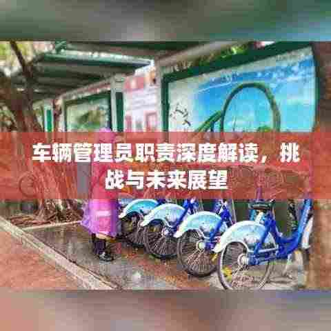 车辆管理员职责深度解读，挑战与未来展望
