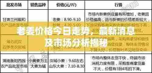 老姜价格今日走势，最新消息及市场分析揭秘