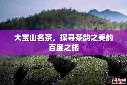 大宝山名茶,探寻茶韵之美的百度之旅