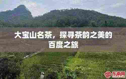 大宝山名茶,探寻茶韵之美的百度之旅