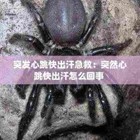 突发心跳快出汗急救：突然心跳快出汗怎么回事 