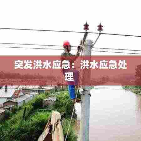 突发洪水应急:洪水应急处理