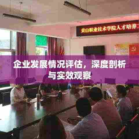 企业发展情况评估,深度剖析与实效观察