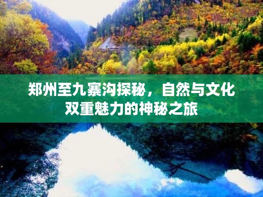 郑州至九寨沟探秘,自然与文化双重魅力的神秘之旅