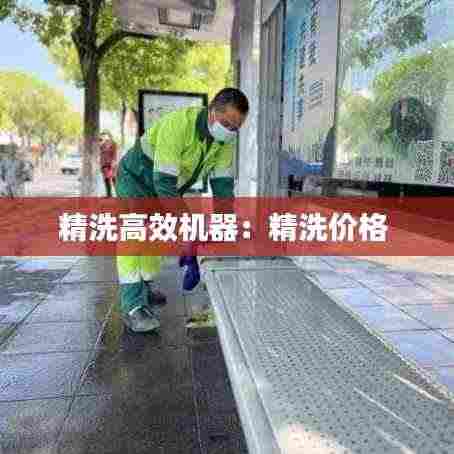 精洗高效机器:精洗价格