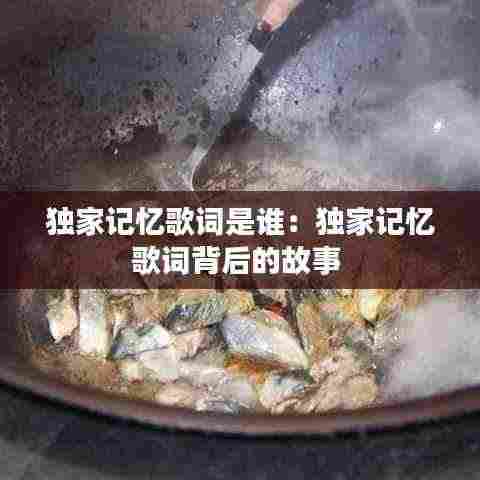 独家记忆歌词是谁：独家记忆歌词背后的故事 