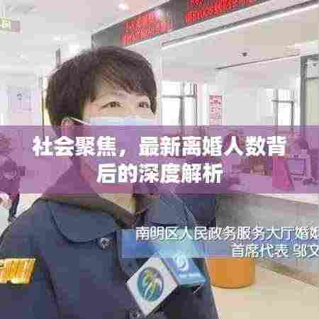 社会聚焦,最新离婚人数背后的深度解析