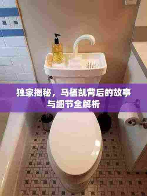 独家揭秘，马桶凯背后的故事与细节全解析