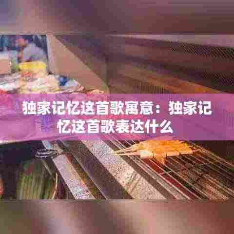 独家记忆这首歌寓意：独家记忆这首歌表达什么 