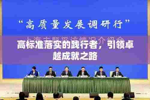 高标准落实的践行者，引领卓越成就之路
