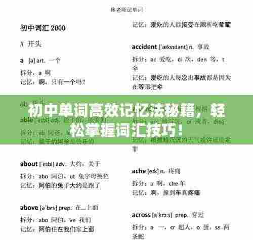 初中单词高效记忆法秘籍,轻松掌握词汇技巧!