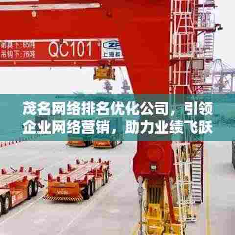 茂名网络排名优化公司,引领企业网络营销,助力业绩飞跃提升
