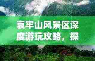 哀牢山风景区深度游玩攻略，探秘自然奇观，体验绝佳旅游路线！