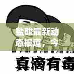 盐酸最新动态报道，今日消息更新速递