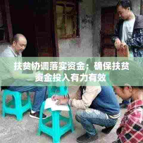 扶贫协调落实资金：确保扶贫资金投入有力有效 