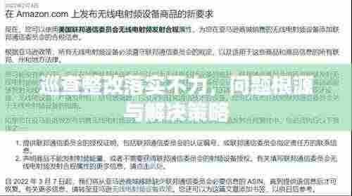 巡查整改落实不力，问题根源与解决策略