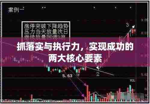 抓落实与执行力,实现成功的两大核心要素