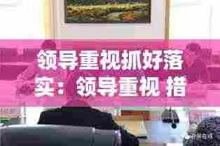 领导重视抓好落实:领导重视 措施有力