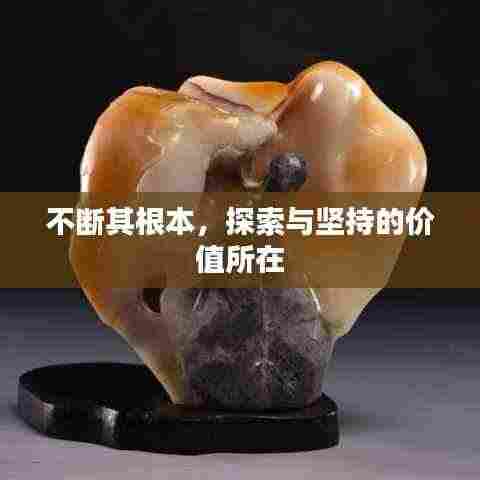 不断其根本，探索与坚持的价值所在