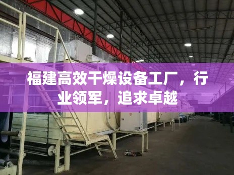 福建高效干燥设备工厂，行业领军，追求卓越