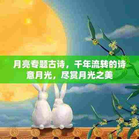 月亮专题古诗，千年流转的诗意月光，尽赏月光之美