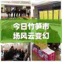 今日竹笋市场风云变幻，最新动态、产业趋势与种植技术一网打尽