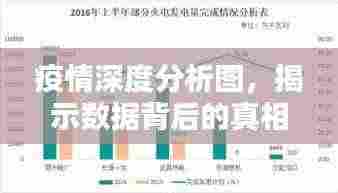 疫情深度分析图,揭示数据背后的真相
