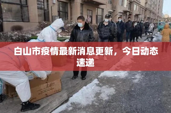 鸟穷则啄 第3页