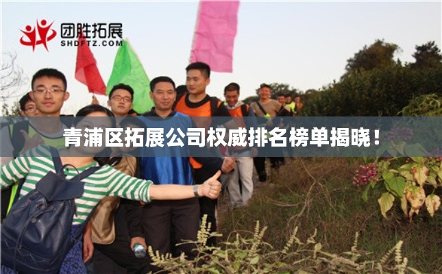 青浦区拓展公司权威排名榜单揭晓!