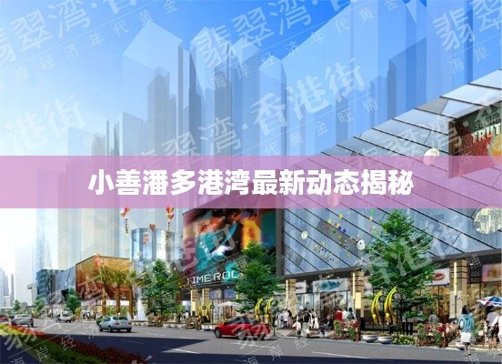 小善潘多港湾最新动态揭秘