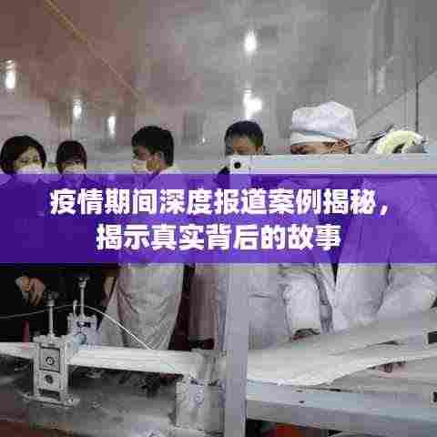 疫情期间深度报道案例揭秘,揭示真实背后的故事