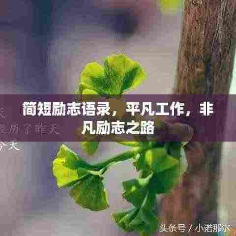 简短励志语录，平凡工作，非凡励志之路