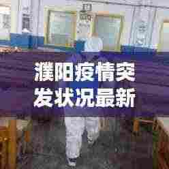 濮阳疫情突发状况最新报告，防控形势严峻，紧急应对措施已启动！