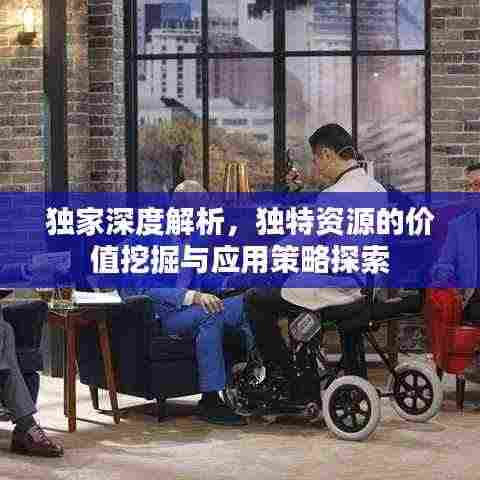 独家深度解析,独特资源的价值挖掘与应用策略探索