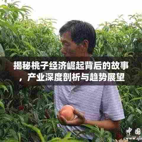 揭秘桃子经济崛起背后的故事,产业深度剖析与趋势展望