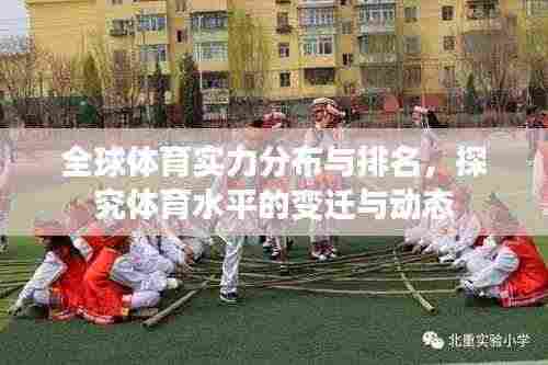 全球体育实力分布与排名,探究体育水平的变迁与动态