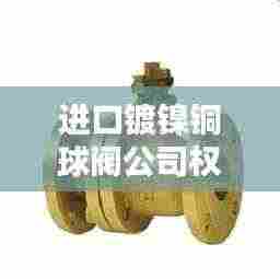 进口镀镍铜球阀公司权威排名榜单揭晓