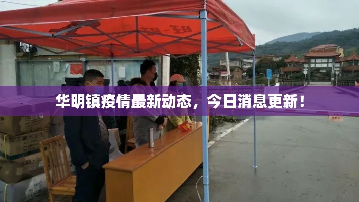 华明镇疫情最新动态,今日消息更新!