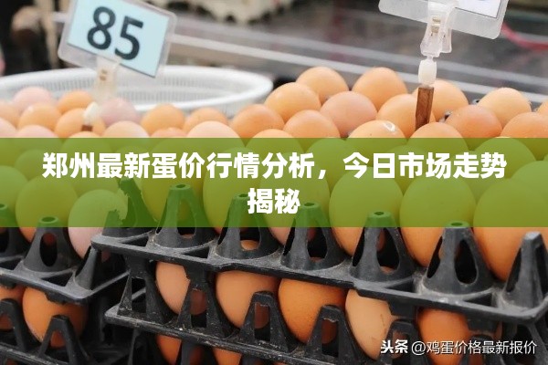 郑州最新蛋价行情分析,今日市场走势揭秘
