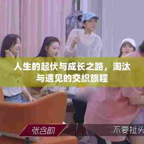 人生的起伏与成长之路,淘汰与遇见的交织旅程