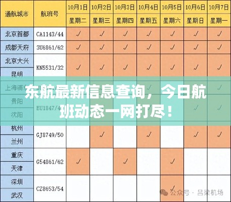 东航最新信息查询，今日航班动态一网打尽！