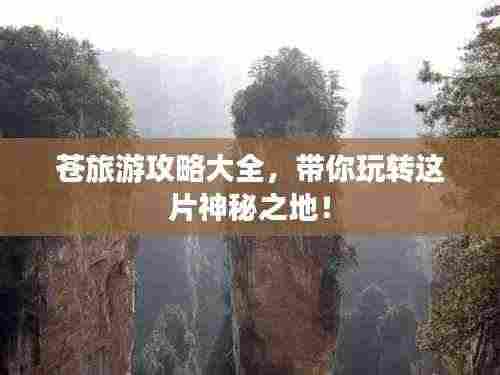 苍旅游攻略大全,带你玩转这片神秘之地!