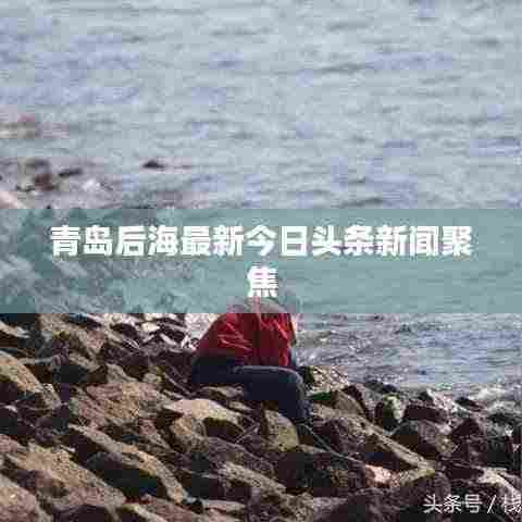 青岛后海最新今日头条新闻聚焦