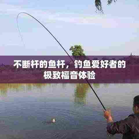 不断杆的鱼杆,钓鱼爱好者的极致福音体验