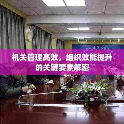 机关管理高效,组织效能提升的关键要素解密