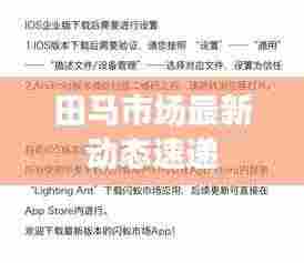 田马市场最新动态速递