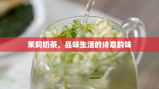 茉莉奶茶,品味生活的诗意韵味