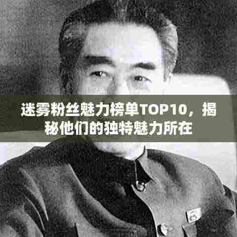 迷雾粉丝魅力榜单TOP10，揭秘他们的独特魅力所在